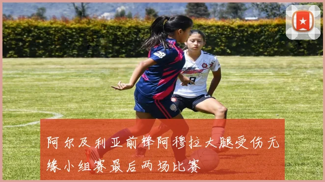 阿尔及利亚前锋阿穆拉大腿受伤无缘小组赛最后两场比赛