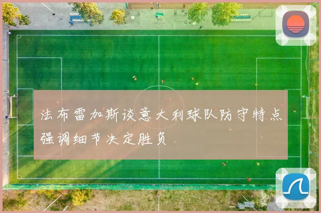法布雷加斯谈意大利球队防守特点强调细节决定胜负